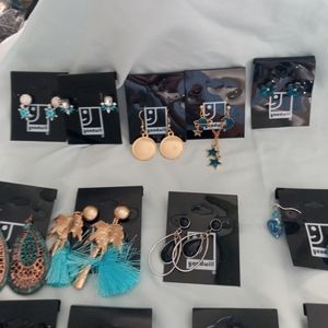 25 Earring Lot